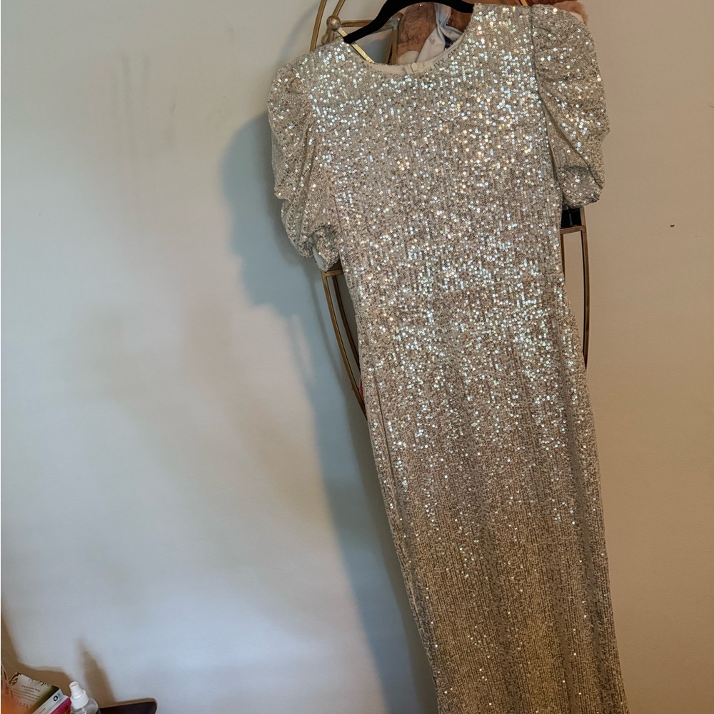 Starling Elegant Silver Sequin Dress - Picture 3 of 6